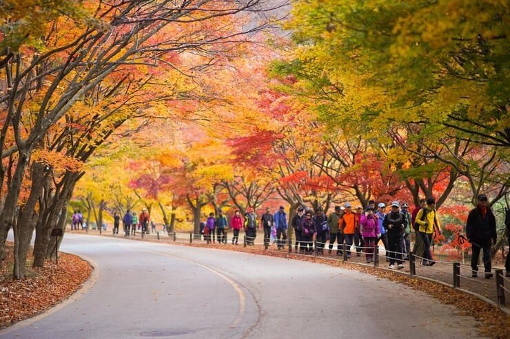 Top Road Trip Routes in South Korea for an Unforgettable Adventure